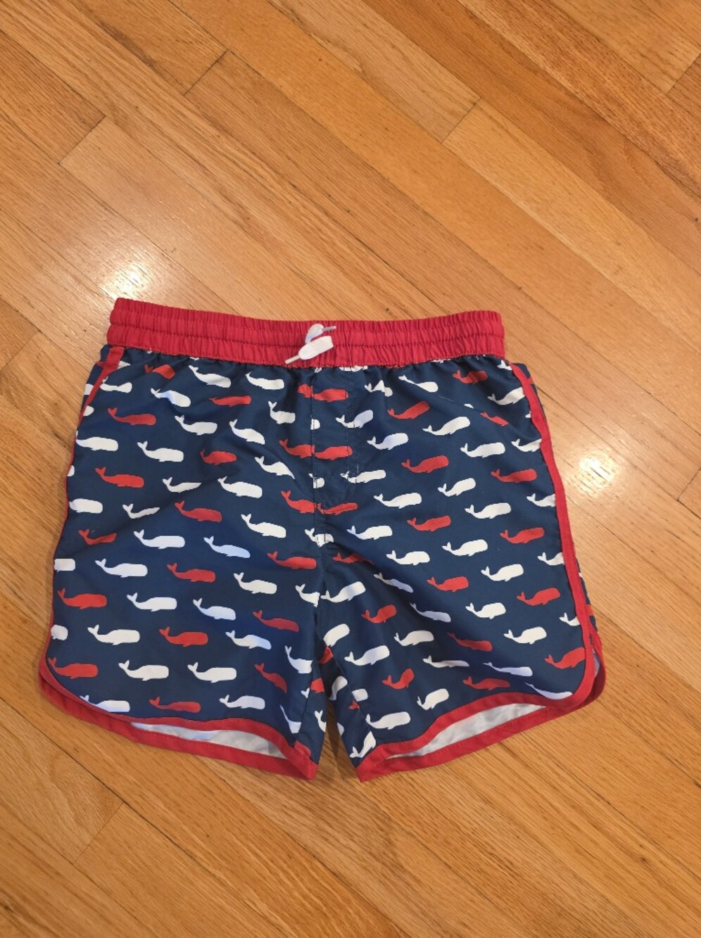 Hatley Swim Trunks